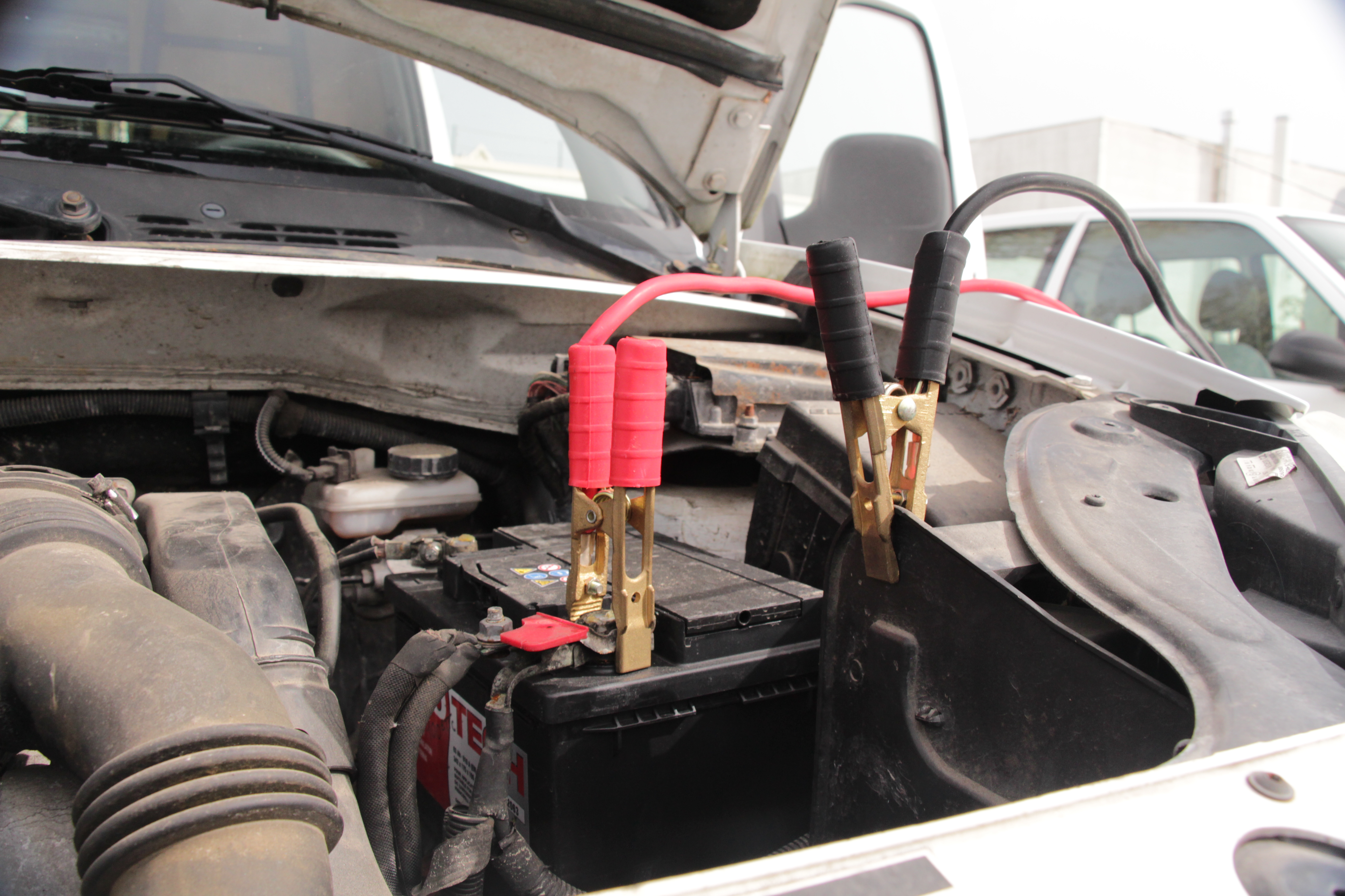 5098053img5536petite