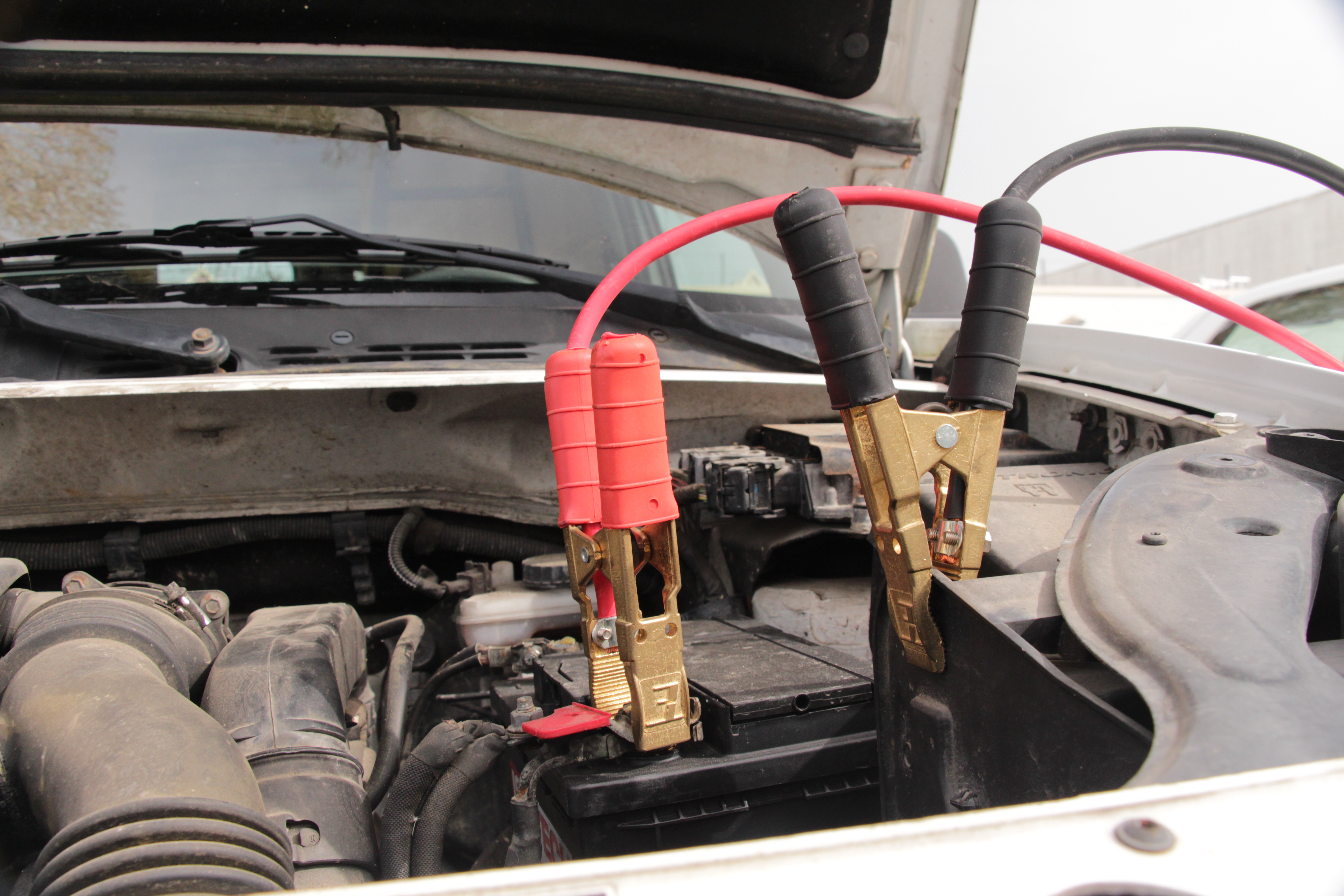 5254002img5539moyenne