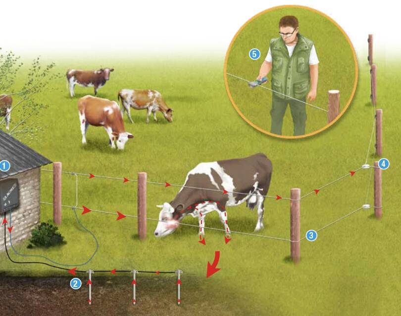 conseil-demi-page-810-640