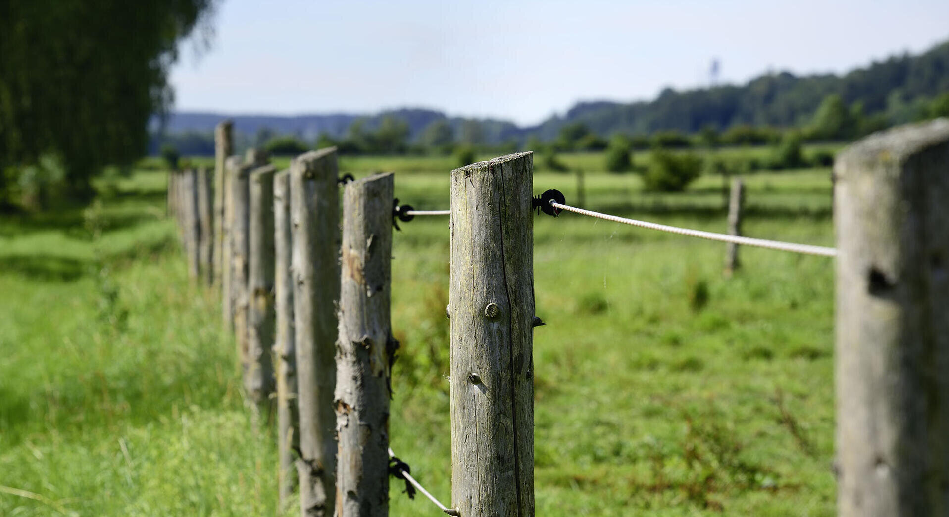 Fil de tension galvanisé Pour les clôtures agricoles - Achetez en