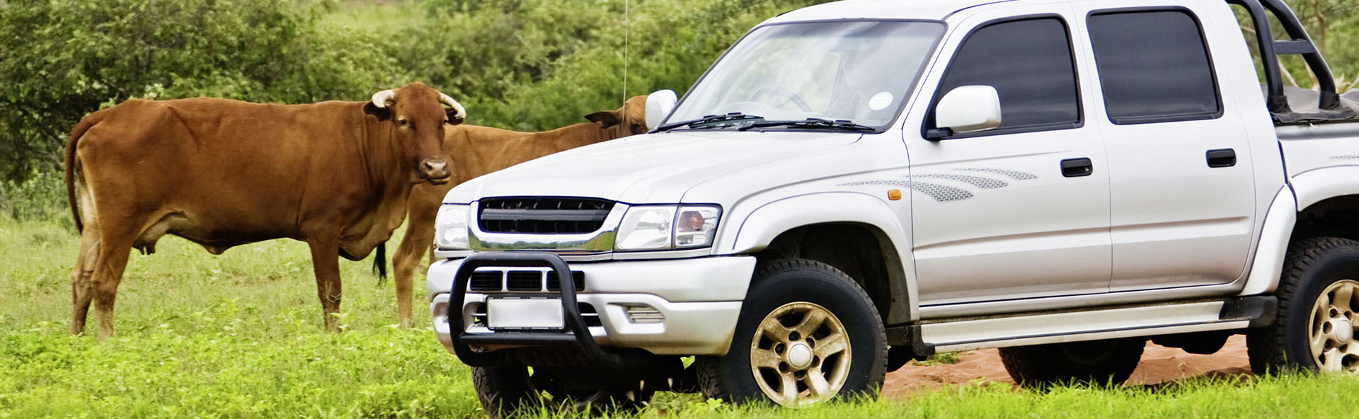 LACME-Conseils-Agriculture-elevage-chargeurs-bandeau-4x4-1920x500px-01