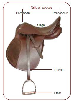 LACME-conseils-agriculture-elevage-equipement-cheval-choisir-selle