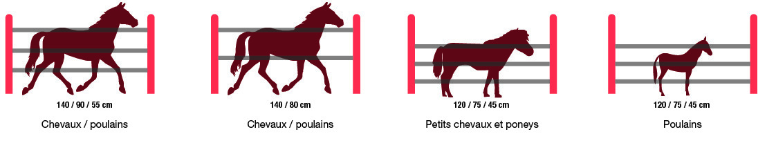 LACME-conseils-agriculture-equipement-cheval-schéma-au-pre-cloture-electrique-hauteur-fils