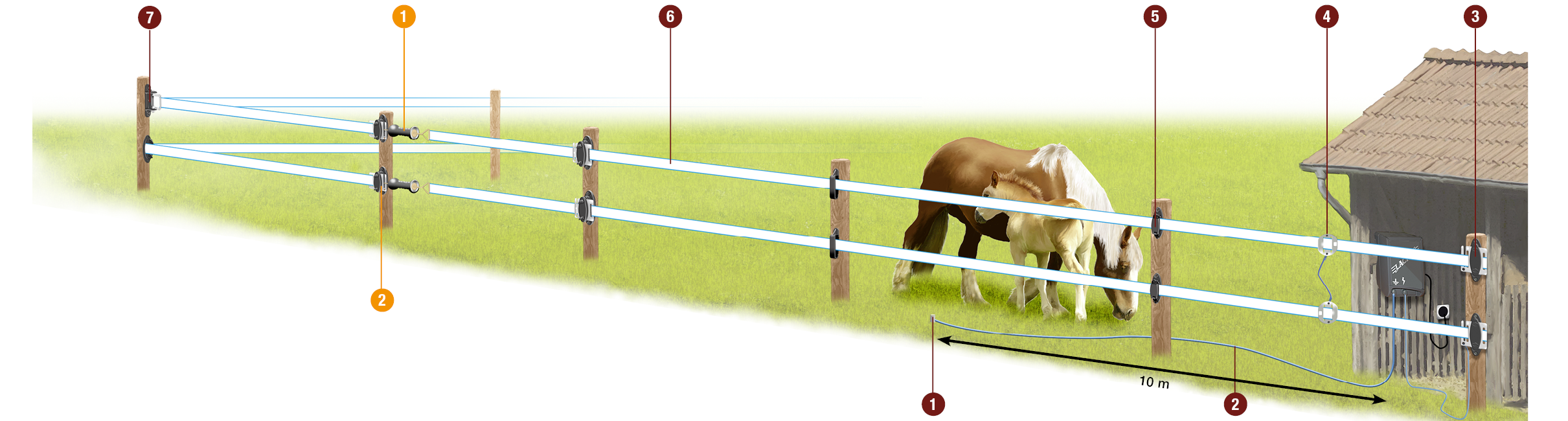 LACME-conseils-agriculture-equipement-cheval-schéma-au-pre-cloture-electrique-ruban