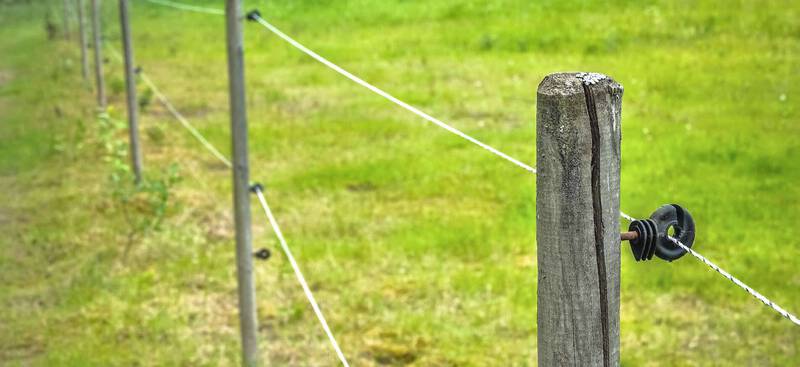 isolateur-cloture-bandeau