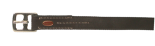LAC3399