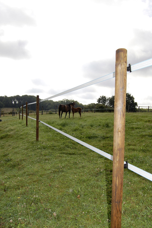 LACME-Conseils-agriculture-elevage-cloture-electrique-cheval-rectangle-jument-poulain-pré-02