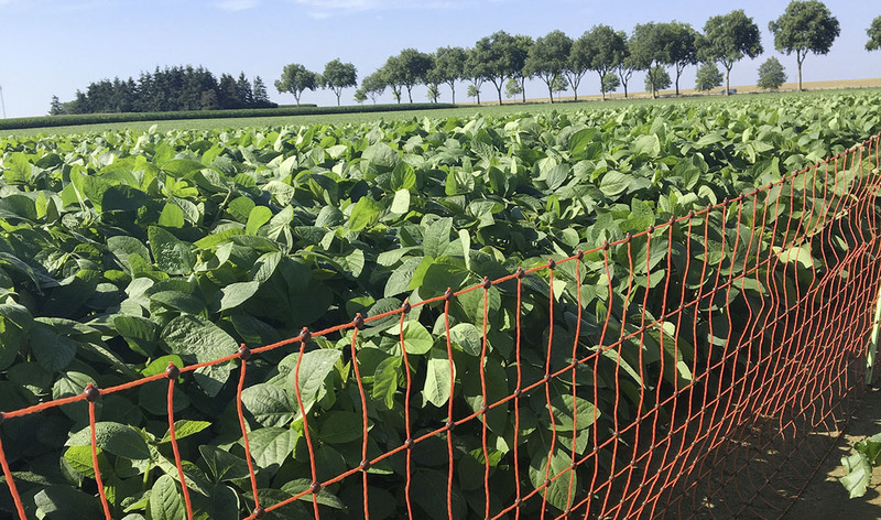 LACME-Produits-Cloture-bandeau-conducteur-filet-1920x660