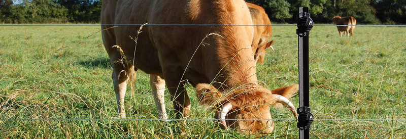 LACME-Produits-Cloture-choisir-piquet-enrouleur-1920x660