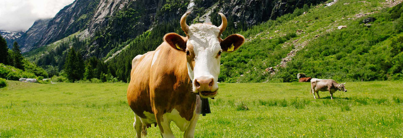 LACME-Produits-Cloture-choisir-son-electrificateur-1920x660