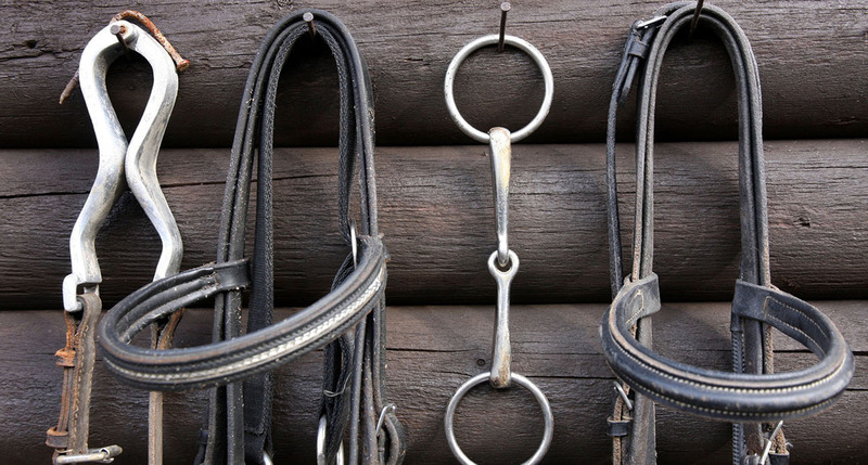 LACME-Produits-Passional-bandeau-briderie-mors-cheval-1920x660