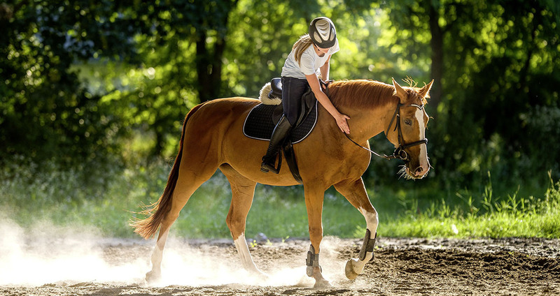 LACME-Produits-Passional-bandeau-cheval-cavalier-travail-1920x660