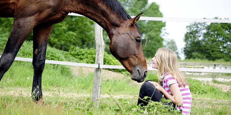 LACME-Produits-Passional-bandeau-cheval-fille-complicite-1920x660