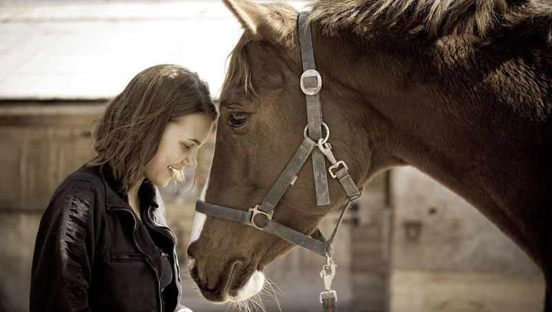 LACME-Produits-Passional-bandeau-cheval-fille-soin-1920x660